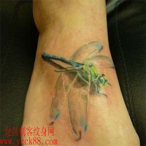 美女脚部蜻蜓纹身…
