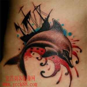 腰部海豚纹身图案