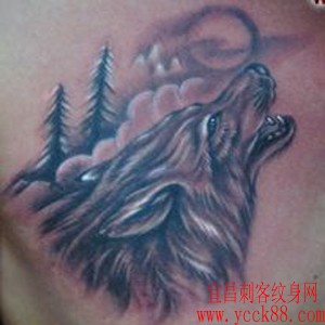狼头纹身图案：胸部…