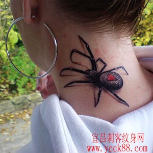 美女颈部蜘蛛纹身…