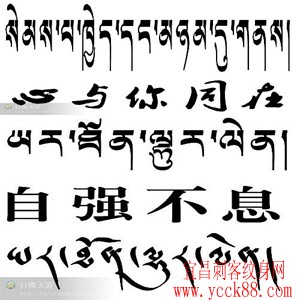 藏文兄弟文字纹身…