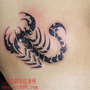 腹部蝎子纹身图案…