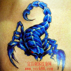 蓝色蝎子纹身（tat…