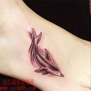 脚背海豚纹身图案…