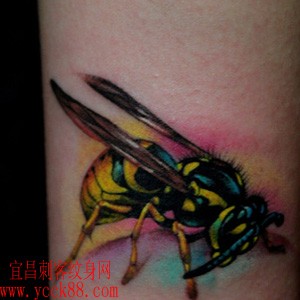 腿部可爱的小蜜蜂…