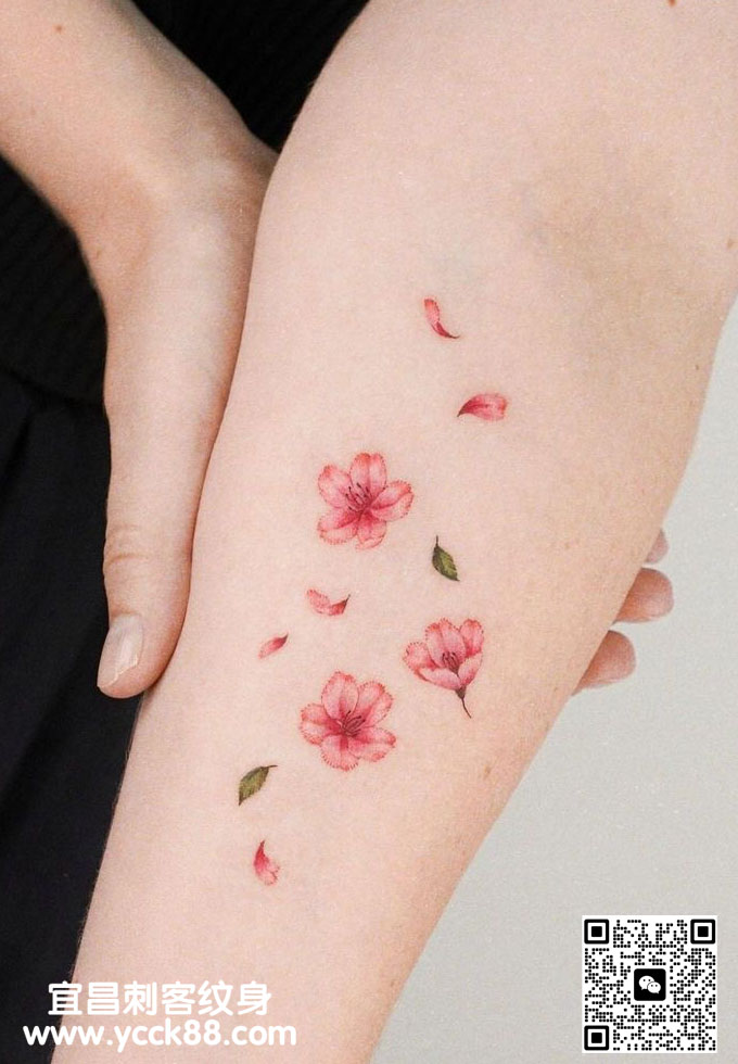 �ֱ�С����ӣ���ơ�