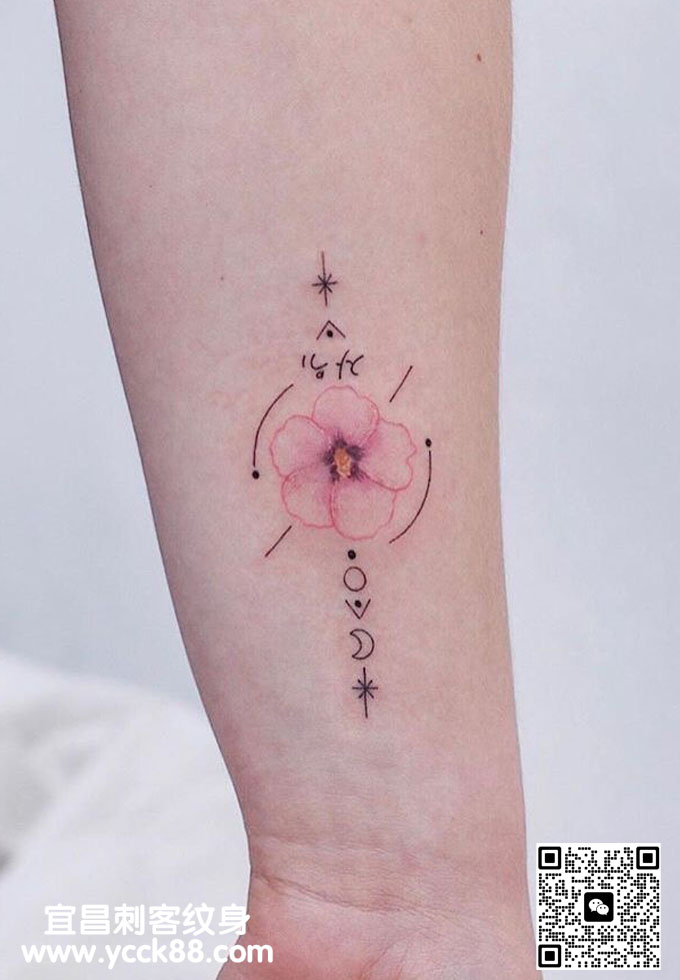 �ֱ�С����ӣ���ơ�