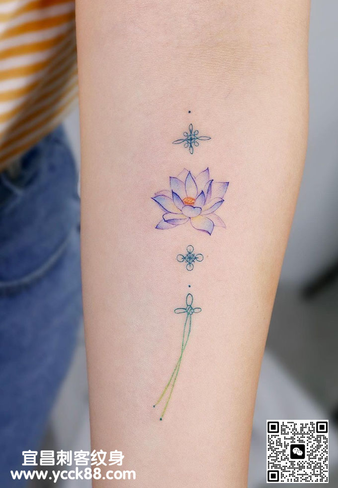 �ֱ�С���²�ɫ����