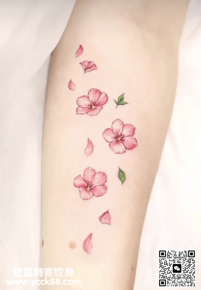 �ֱ�С���²�ɫӣ��