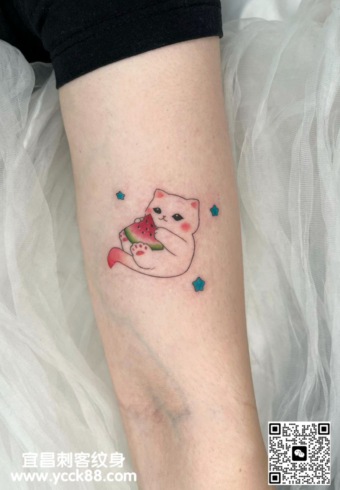 �ֱ�С����è������