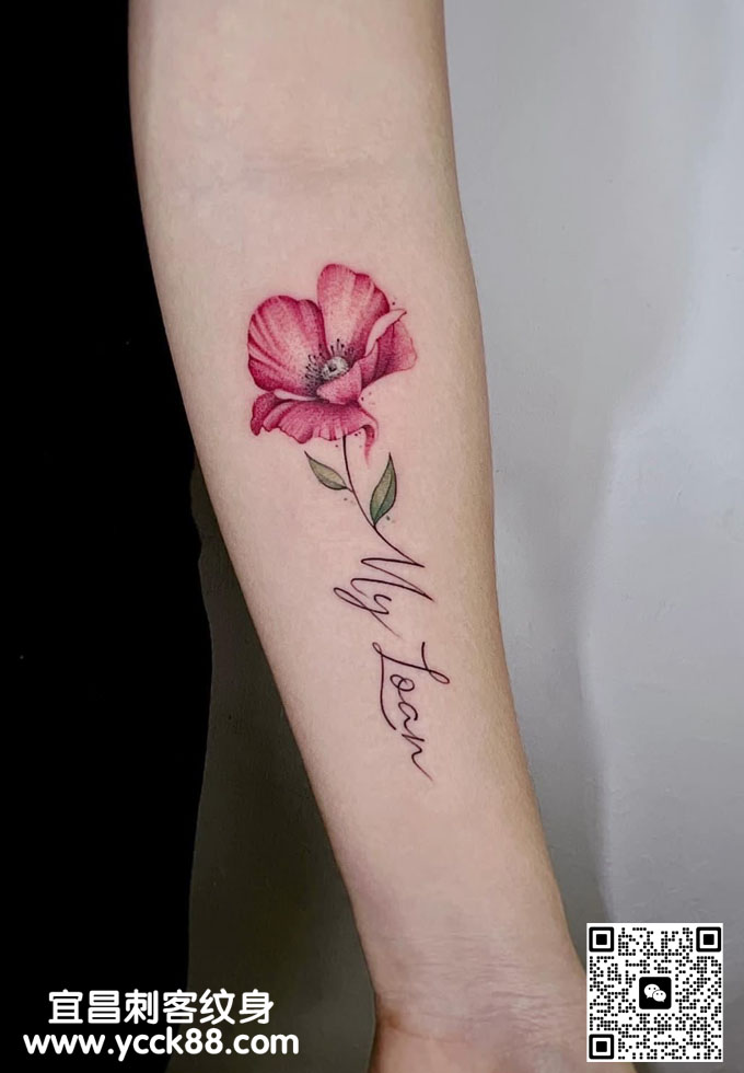 �ֱ�С������ĸ�ʡ�