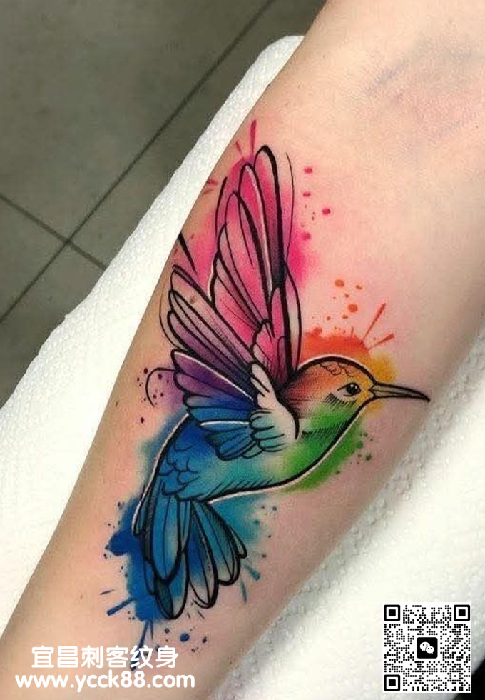 �ֱ۲�ɫnew&nbsp;scho��