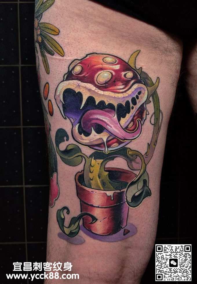 �Ȳ���ɫnew&nbsp;scho��