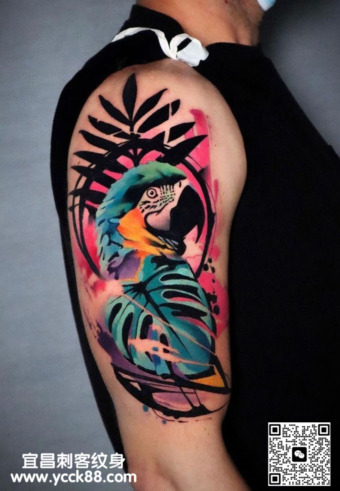 ��۲�ɫnew&nbsp;scho��