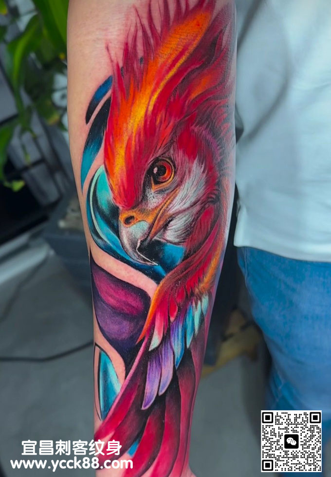 �ֱ۲�ɫnew&nbsp;scho��