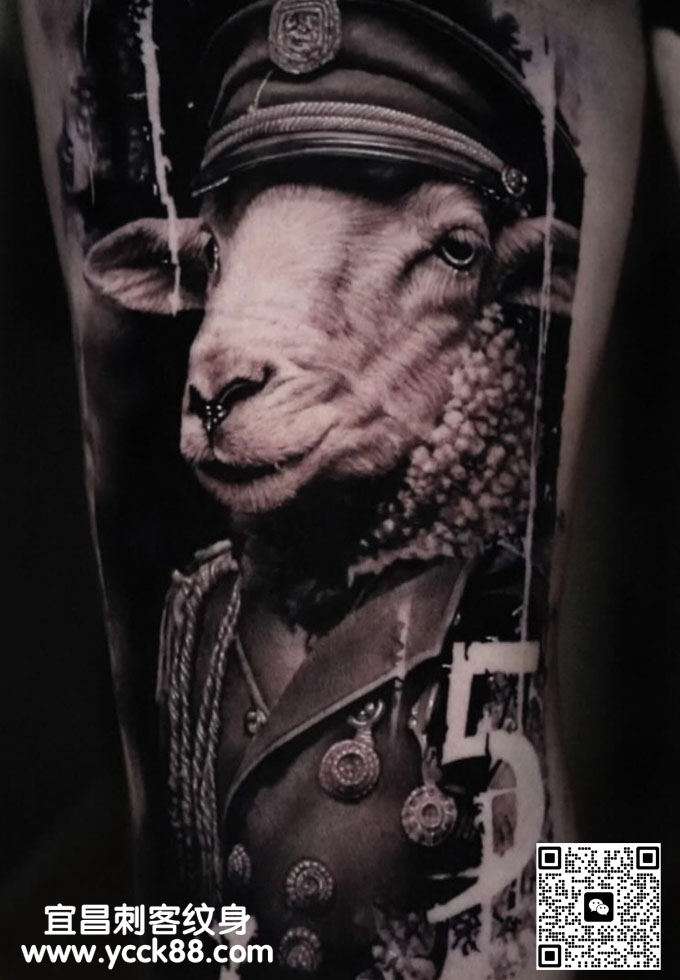 ���ڷ��ɽ��������