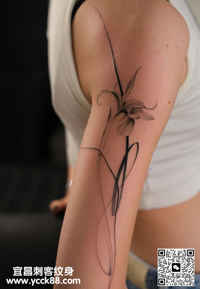 �ֱ�ϸ�߷��������