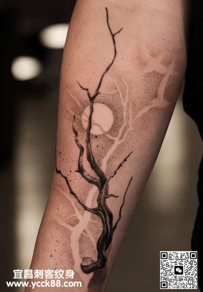 �ֱ۵�̷����֦��