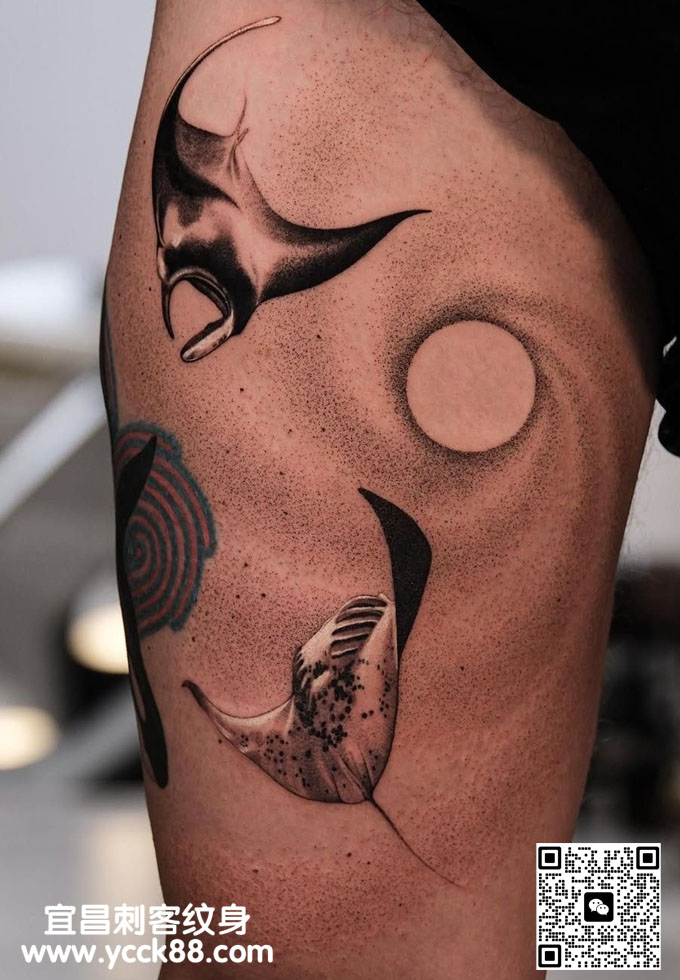 ��̷������������