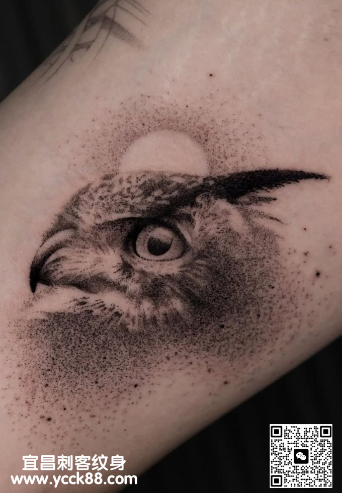 ��̷��ӥ����ͼ��