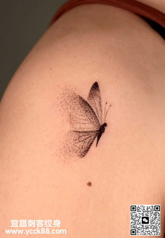 ��̷�����������