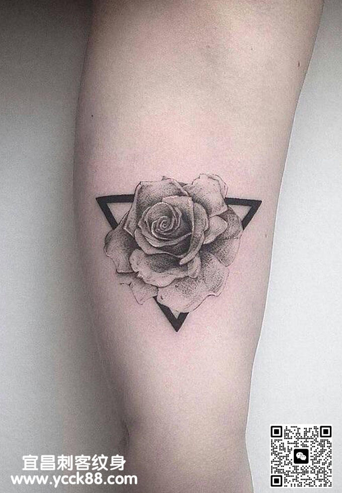 �ֱ۵�̷��õ�塭