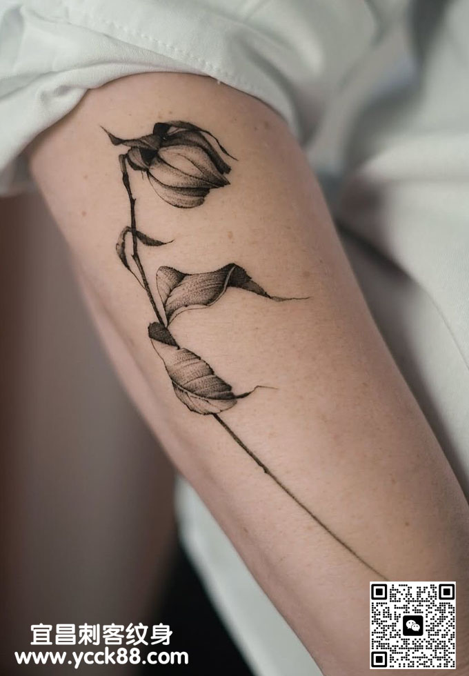 ��̷������ͼ��