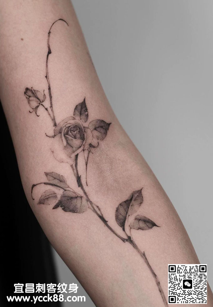 �ֱ۵�̷���ơ�