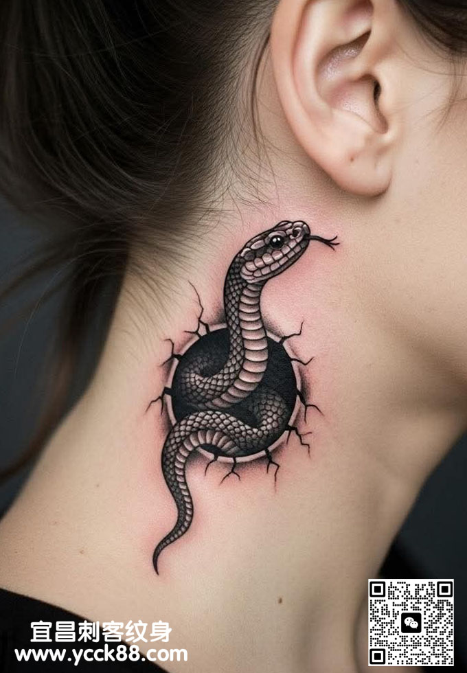 ����3D�����������