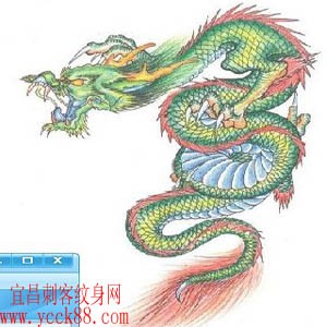 纹身图案大全—披肩龙纹身图案大全