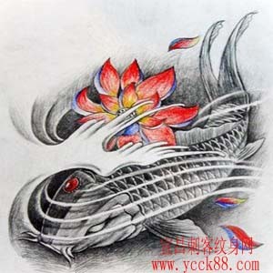 鲤鱼纹身图案
